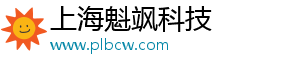上海魁飒科技
