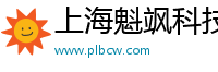 上海魁飒科技