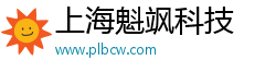 上海魁飒科技
